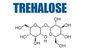 Grado cristalino 6138-23-4 de USP del polvo del edulcorante del dihidrato de Trehalose